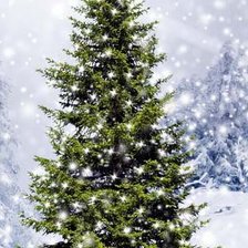 Схема вышивки «елочка»