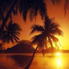 Схема вышивки «Захід сонця.Пальми»