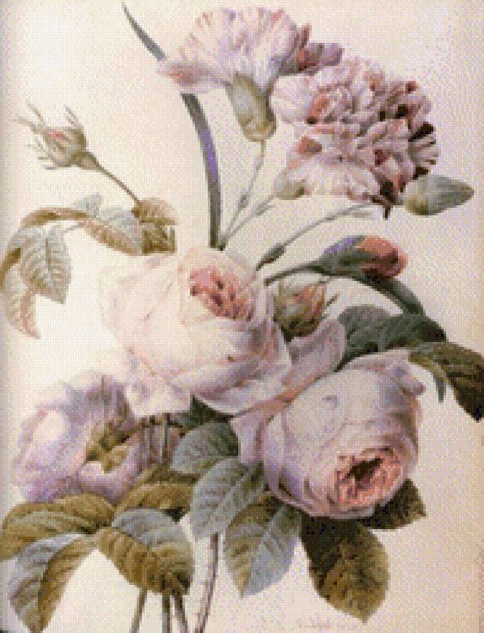 нежность - цветы - предпросмотр