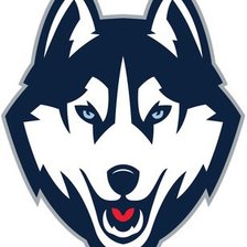 Схема вышивки «хаски»