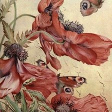 Схема вышивки «маки»