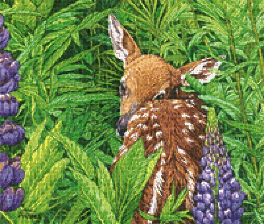 Олененок в люпинах - животные, олененок, олени, цветы, люпины - предпросмотр