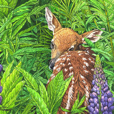 Схема вышивки «Олененок в люпинах»