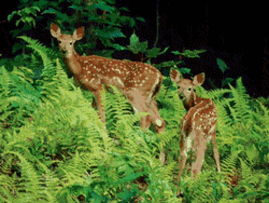 Оленята в папоротниках - животные, олененок, олени - предпросмотр