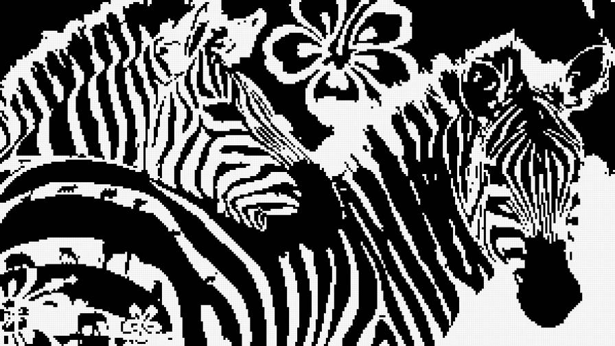 зебры - зебры, черно-белое - предпросмотр