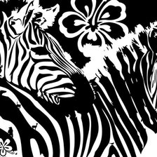 Схема вышивки «зебры»