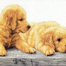 Схема вышивки «№1022283»