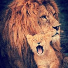 Схема вышивки «№1022322»