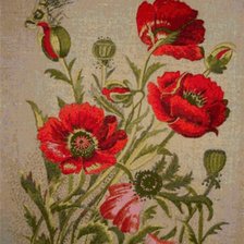 Схема вышивки «маки»