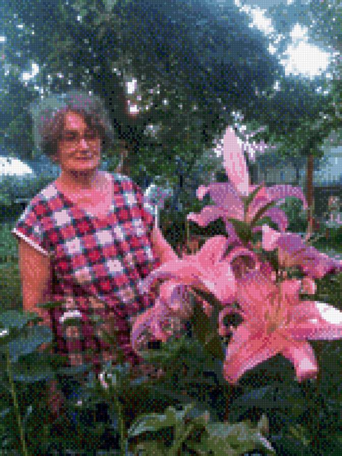 Лилия - лилии, цветы - предпросмотр