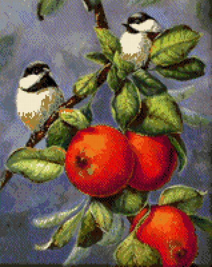 птички - птицы - предпросмотр