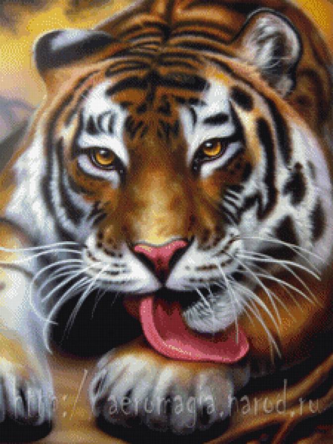 тигруля - тигр, хищник - предпросмотр