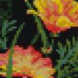 Предпросмотр схемы вышивки «калифорнийский мак» (№1022810)