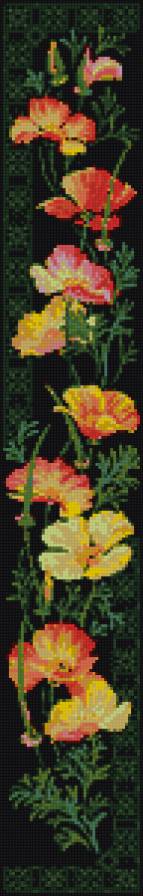 калифорнийский мак - предпросмотр