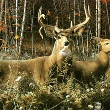 Схема вышивки «осень»