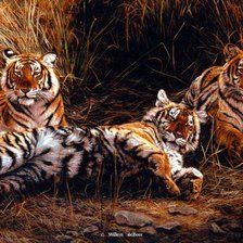 Схема вышивки «тигры»