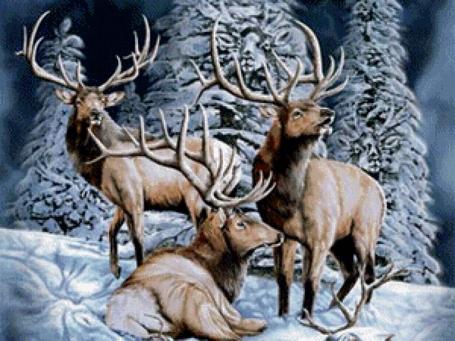 олени - предпросмотр