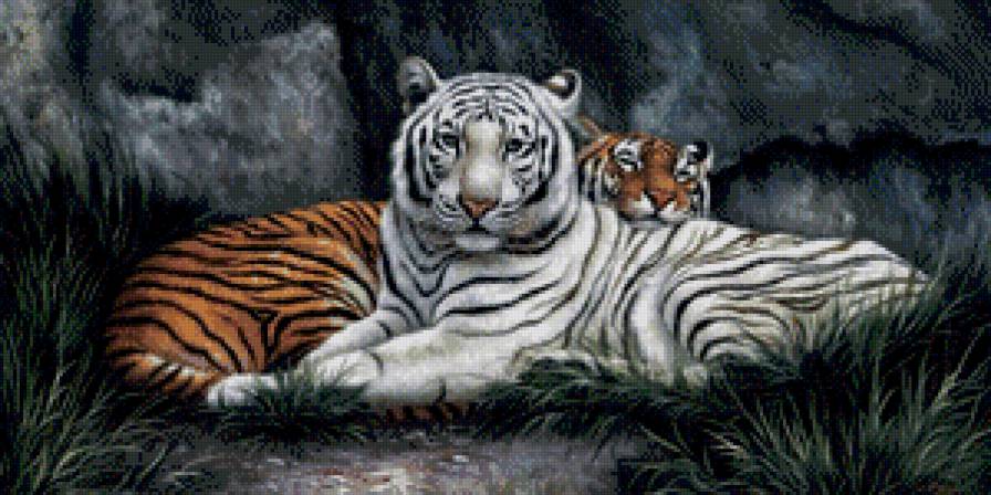 Спокойствие тигров. - символ, тигры, пара - предпросмотр