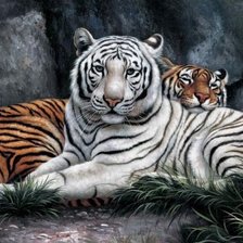 Схема вышивки «Спокойствие тигров.»