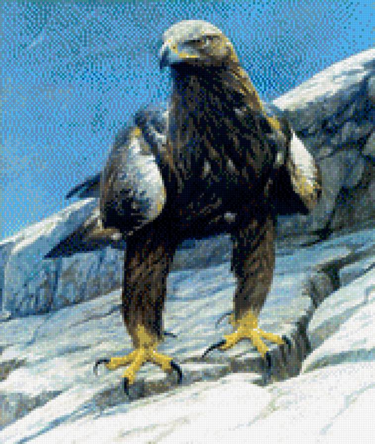 0231 - птицы, картина, орел, природа, красота живопись - предпросмотр