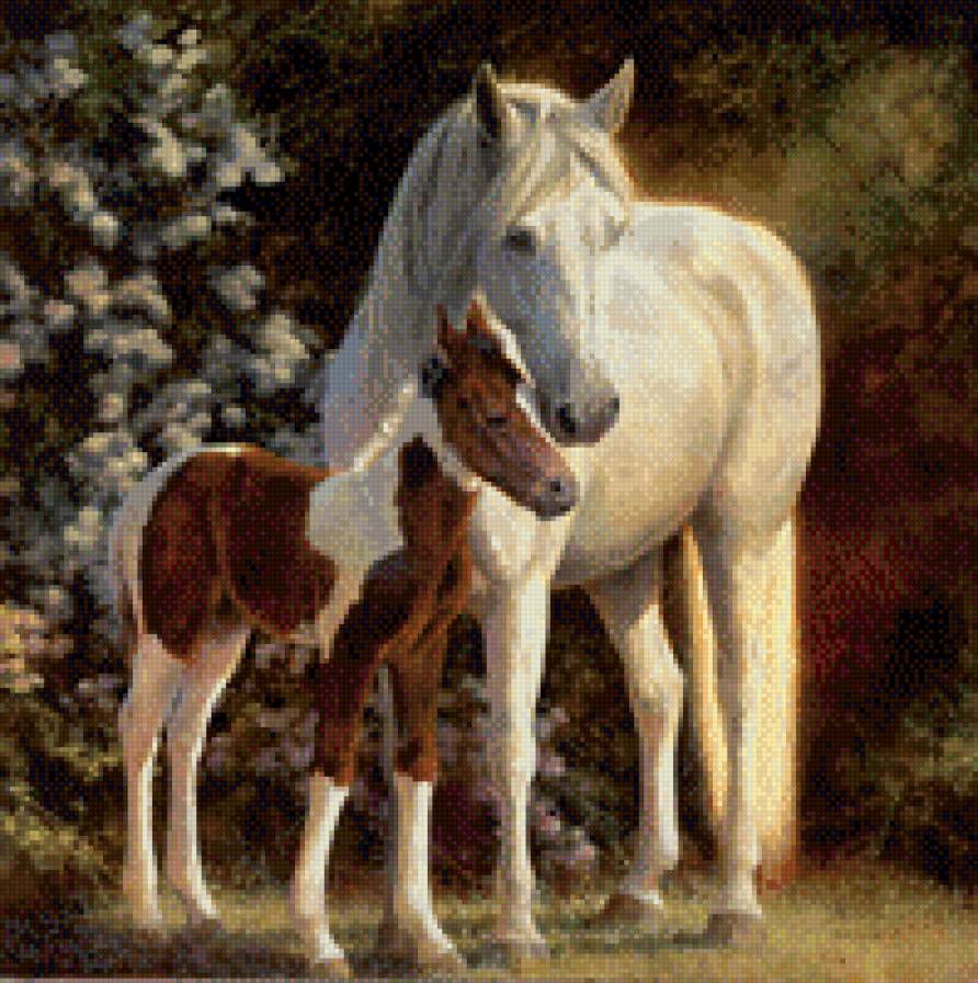 0232 - красота, кони, картина, живопись, лошадь, животные, природа - предпросмотр