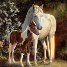 Схема вышивки «0232»