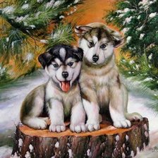 Схема вышивки «0233»