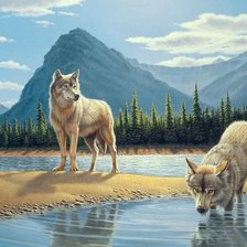 Схема вышивки «0234»