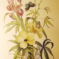 Схема вышивки «В цветах Юлии Кудряшовой»