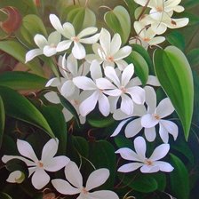 Схема вышивки «Клематисы Юлии Кудряшовой»