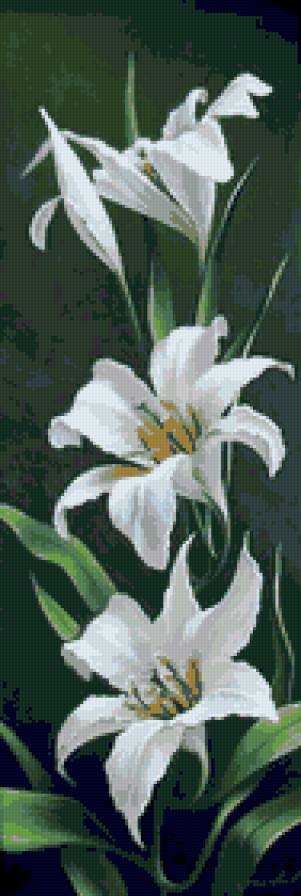 Лилия Юлии Кудряшовой - цветы, лилия - предпросмотр