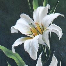 Схема вышивки «Лилия Юлии Кудряшовой»