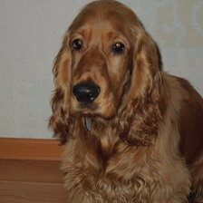 Схема вышивки «Валли»