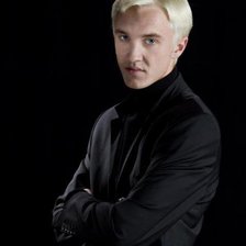 Схема вышивки «Драко»