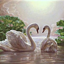 Лебединая пара