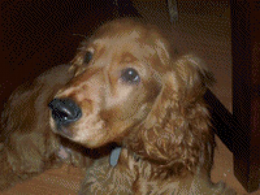 Валли - предпросмотр