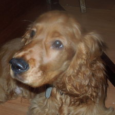 Схема вышивки «Валли»