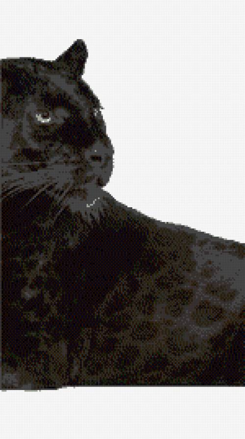 пантера часть 2 - предпросмотр