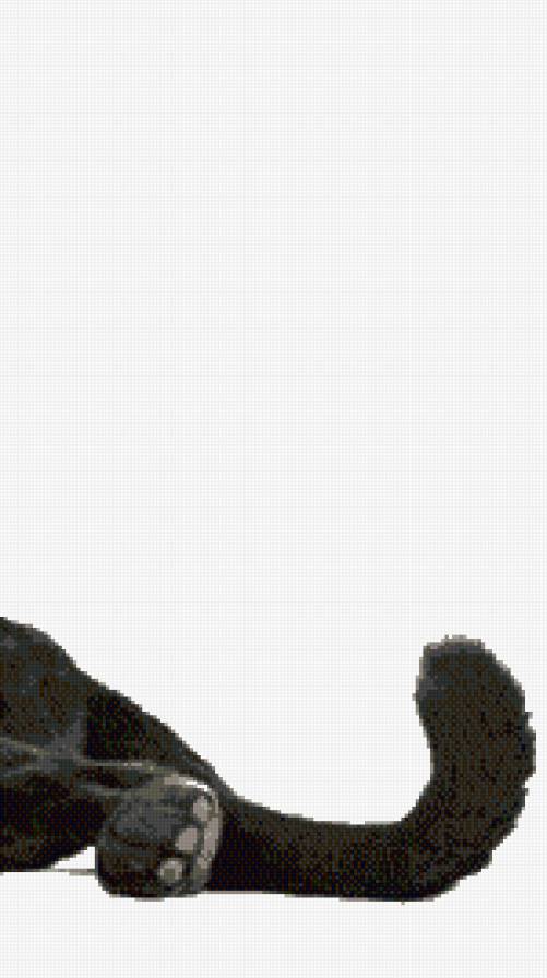 пантера часть 4 - предпросмотр