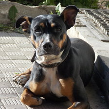 Схема вышивки «Дези»