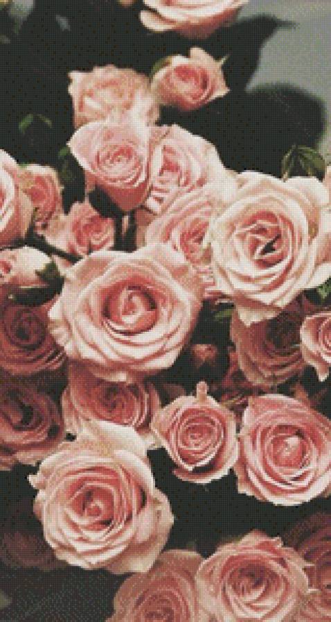 розы - на любителя, розы, большая картина, много цветов, картина, цветы - предпросмотр