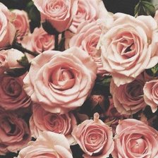 Схема вышивки «розы»