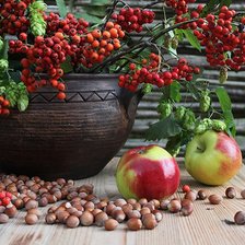 Схема вышивки «Орехово-яблочная рябина»