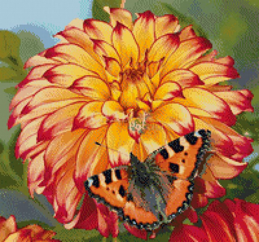 Леди Дарлен - бабочки, георгин, цветы - предпросмотр