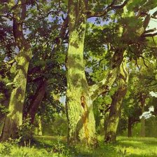 Схема вышивки «№1025498»