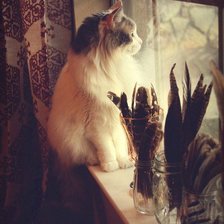 Схема вышивки «Кошечка на подоконнике»