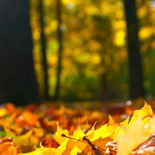 Схема вышивки «Осенние листья. Триптих ч.2»