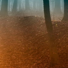 Схема вышивки «Осенний туман. Триптих ч.3»