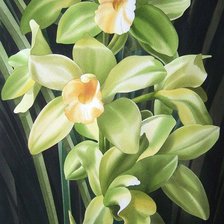 Схема вышивки «Орхидеи»