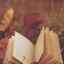 Схема вышивки «Осеннее чтиво»